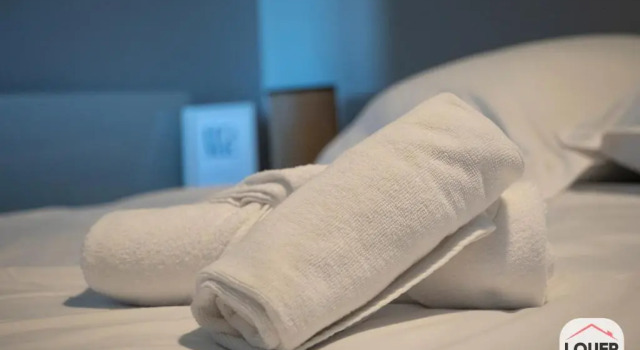 Le Bistrot 11 cosy et chaleureux gare d'Ambroise, Rezerwuj Apartament  