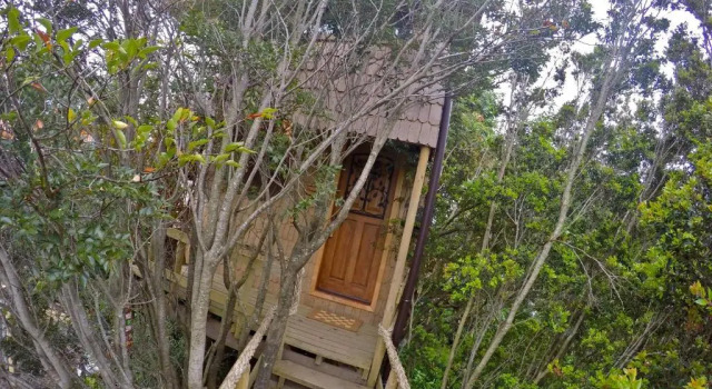 Коттедж La Casa Del Árbol De Chiloé