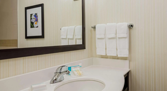 Двухместный люкс Hilton Garden Inn Wayne