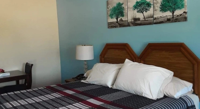 Двухместный номер Standard Ponce De Leon Motel