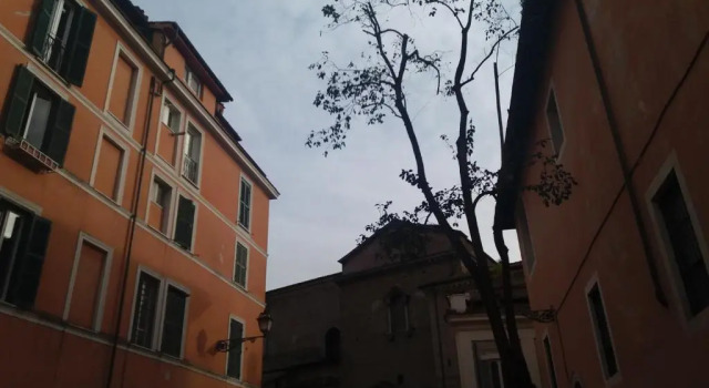 Il Cuore di Trastevere_Design Apartment, Prenota Appartamento Trastevere Roma