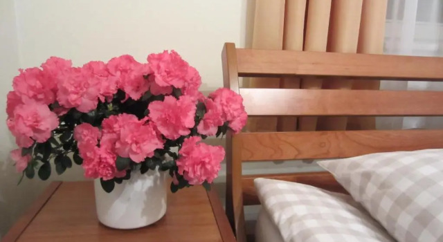 Двухместный номер Standard Hostel Livonija
