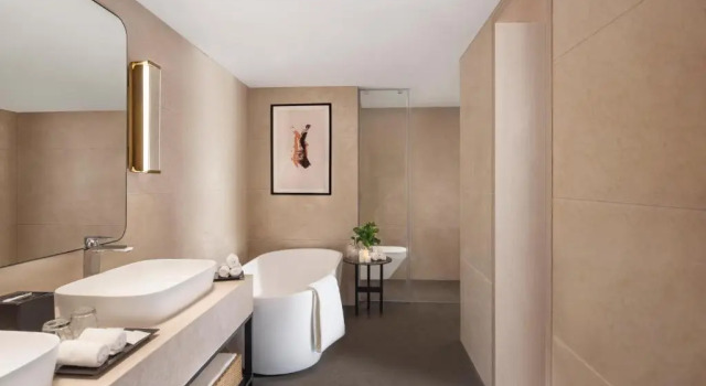 Люкс Superior Novotel Mumbai International Airport
