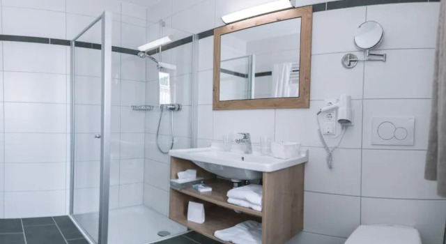Номер Standard Landhotel - Hotel & Brauereigasthof Schneider
