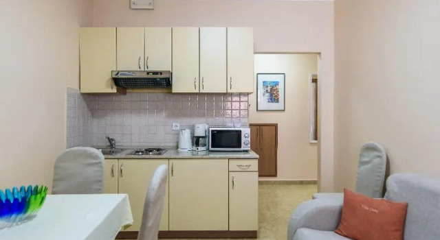 Апартаменты c 1 комнатой с балконом Vila Curic