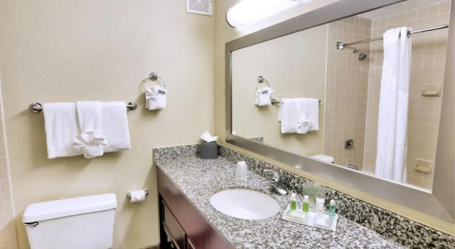 Люкс Holiday Inn St. Petersburg N - Clearwater by IHG