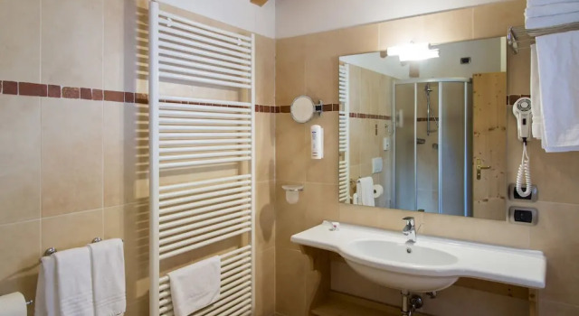 Полулюкс с балконом Hotel Ambiez