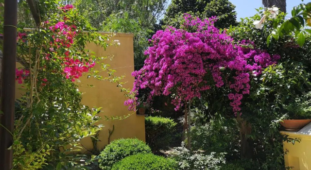 Двухместный номер Standard B&B Corte San Giuseppe
