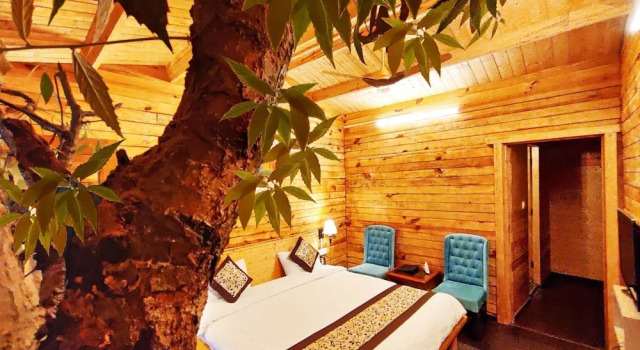 Люкс Luxury Treehouse Resort