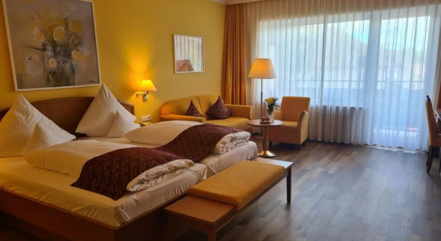 Номер Superior Hotel Anna