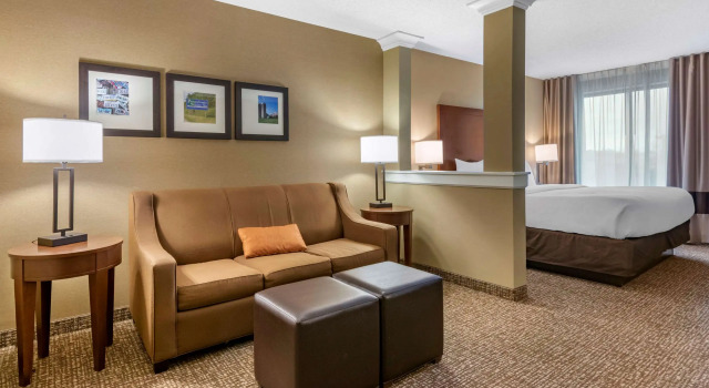 Двухместный люкс Comfort Inn PA Turnpike - 1-81
