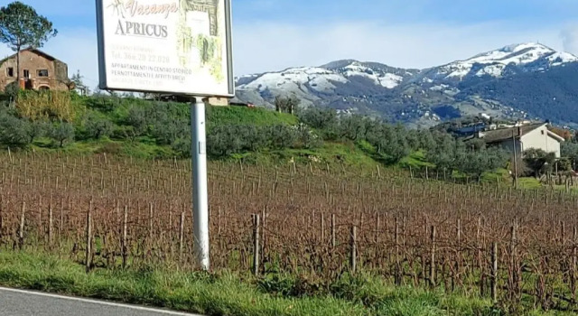 Апартаменты La Loggetta di Apricus