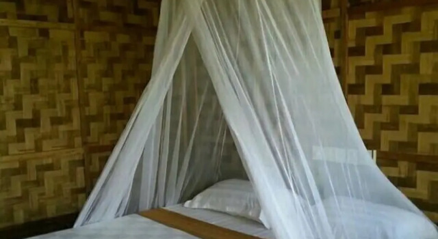 Двухместный номер Economy Ngwe Saung Garden Guest House