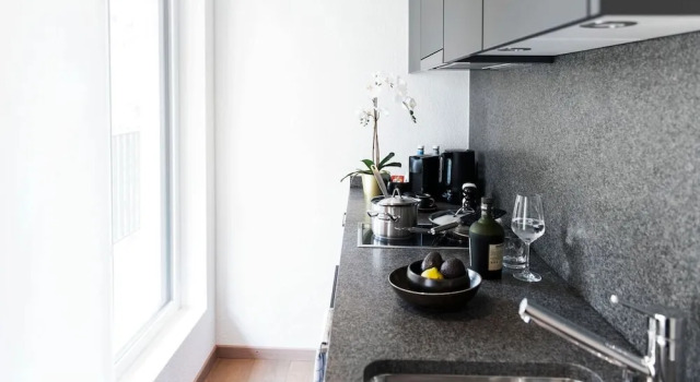 Двухместная студия COSMOPOLITAN APARTMENTS Zürich Seefeld