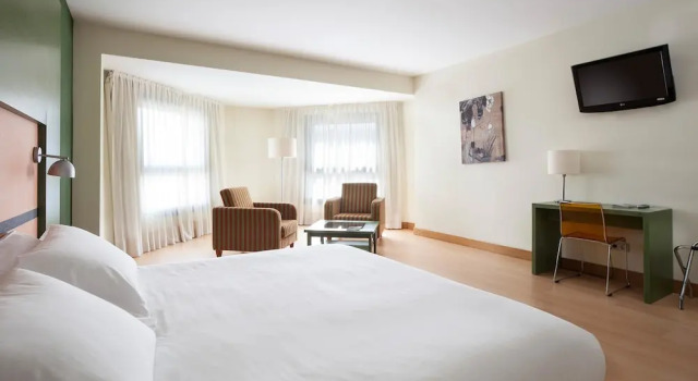 Одноместный полулюкс Hotel Naval Sestao