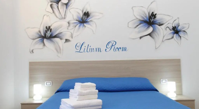 Номер Standard B&B Flowers House