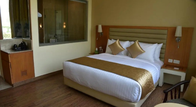 Номер Superior Opulent by Udman Chhattarpur
