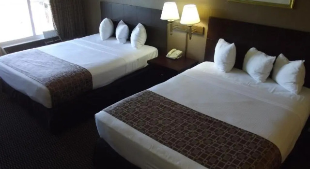 Четырёхместный номер Standard Ambassadors Inn & Suites