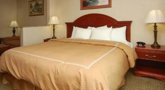 Двухместный люкс c 1 комнатой Comfort Suites Grand Rapids South