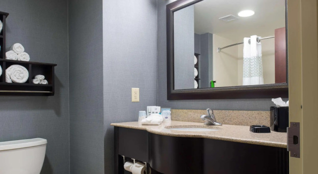 Двухместный номер Standard Hampton Inn & Suites Vineland