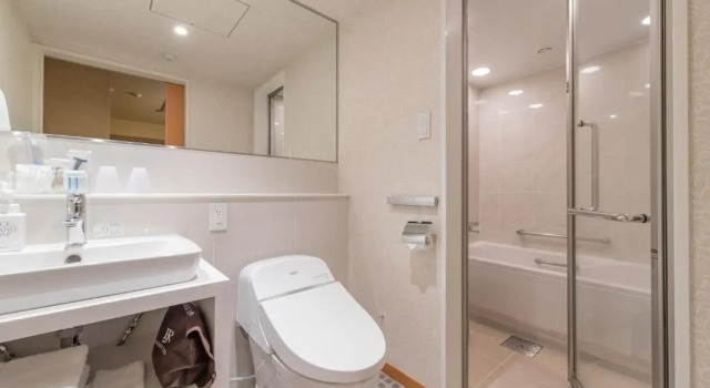 Трёхместный номер Standard JR Kyushu Hotel Blossom Oita