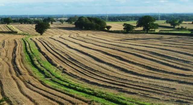 Номер Deluxe Hazelwood Farm B&B