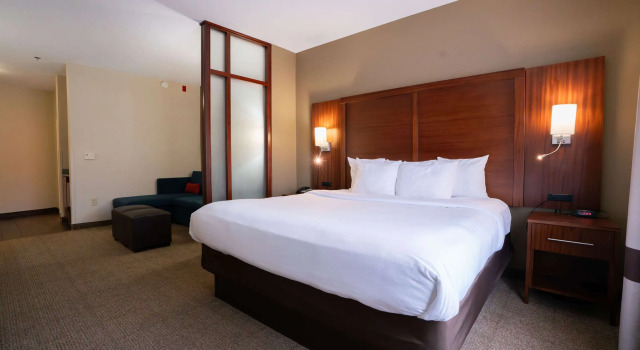 Двухместный люкс Comfort Suites Flowood - Jackson Airport
