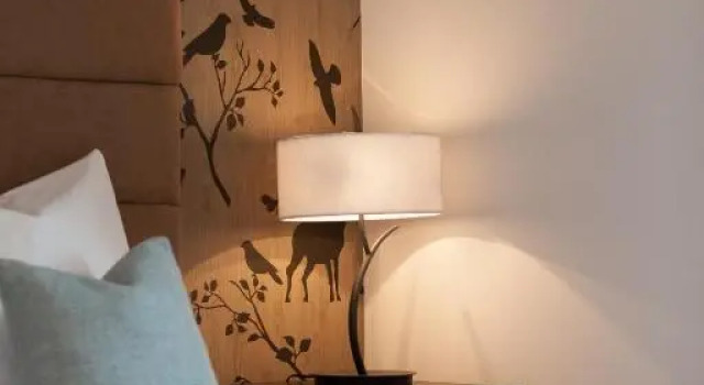 Номер Classic Hotel-Restaurant Bellevue