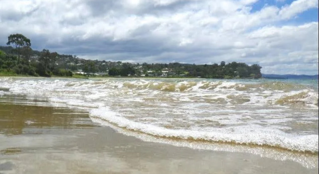 Blackmans Bay Seashell Apartment, Брондау Пәтер West Hobart Тасман аралы