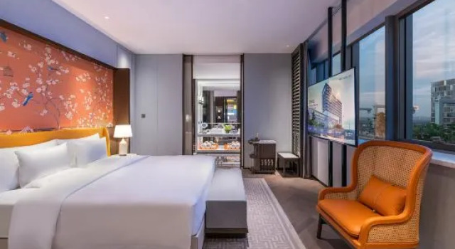 Люкс Presidential Novotel Xian Xixian