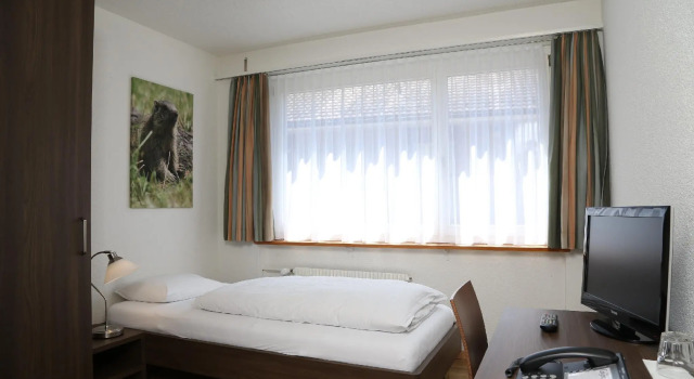 Camera singola Standard Hotel Crystal Interlaken