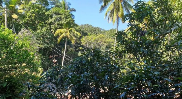 Люкс с балконом Windy Ridge Kandy