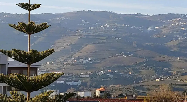 Люкс Régua Pine House