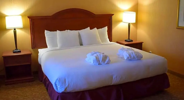 Двухместный люкс с 2 комнатами с видом на сад DoubleTree by Hilton Biltmore/Asheville