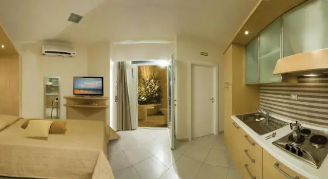 Апартаменты c 1 комнатой Hotel Continental & Residence