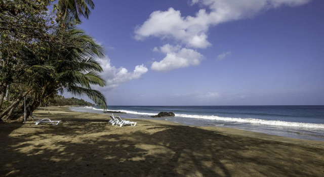 Grafton Beach Resort, Rezervați Stațiune Hoteluri în Tobago cu mic dejun, Mic dejun