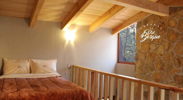 Бунгало Standard Cabañas La Vid Del Bosque
