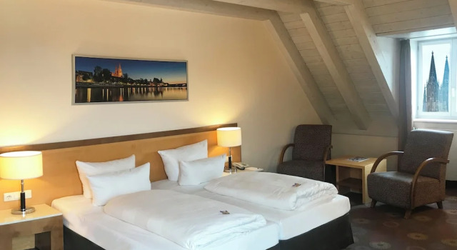Одноместный номер Comfort с видом на реку SORAT Insel-Hotel Regensburg
