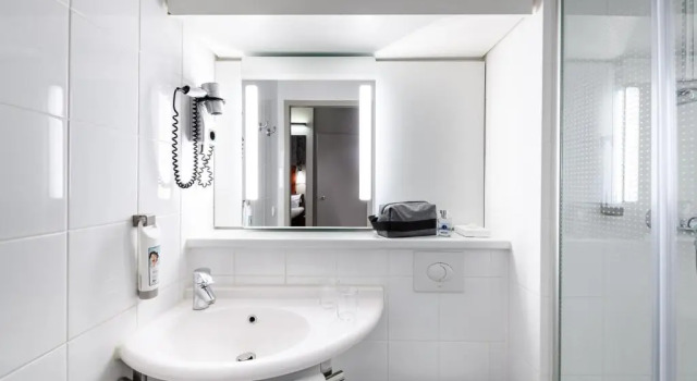 Одноместный номер Standard ibis Mainz City