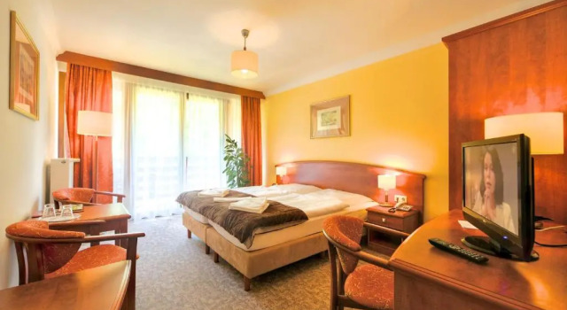 Номер Standard Hotel Garni Jagdschloss Waldsee mit Frühstücksbuffet & Schlossküche für Selbstversorger