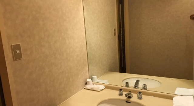 Одноместный номер Standard Hotel Tetora