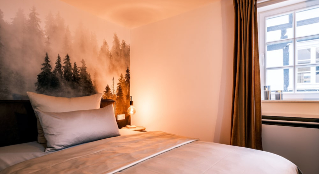 Flecker Hotel, Забронировать Отель Фройденберг 