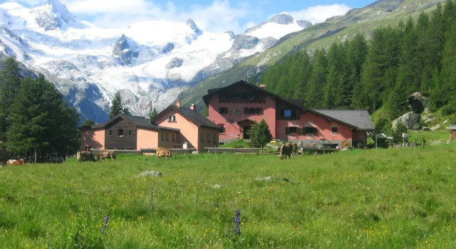 Номер Standard с панорамным видом Hotel Roseg-Gletscher