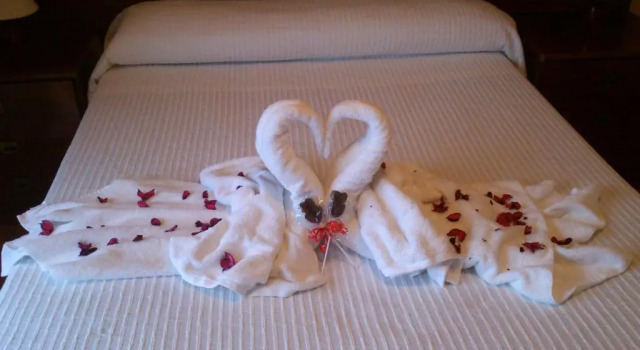 Standard huone Hotel Brisamar