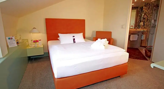 Номер Standard Hotel & SPA Sommerfeld