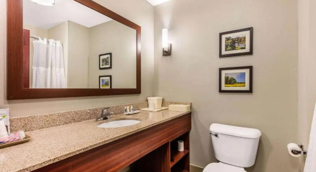 Люкс Comfort Suites Tuscaloosa near University