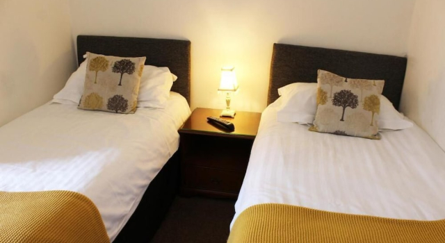 Номер Economy The Lion Hotel