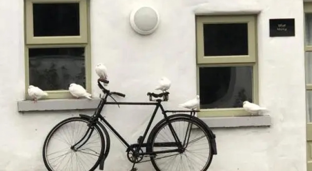 The Carriage Houses at Beechpark House, Book Hotel Bunratty Clare