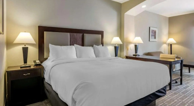 Люкс Comfort Inn & Suites Port Charlotte-Punta Gorda
