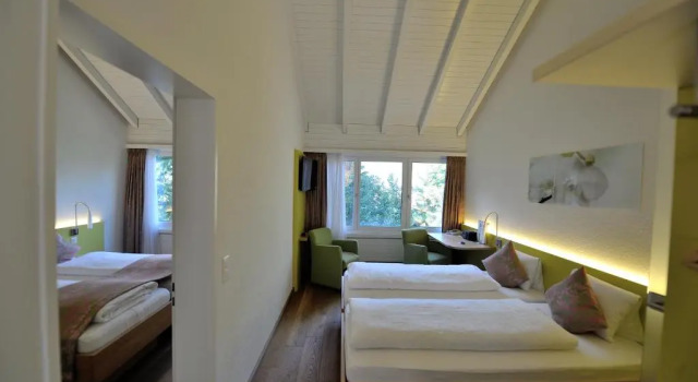 Трёхместный номер Standard Hotel Sommerau